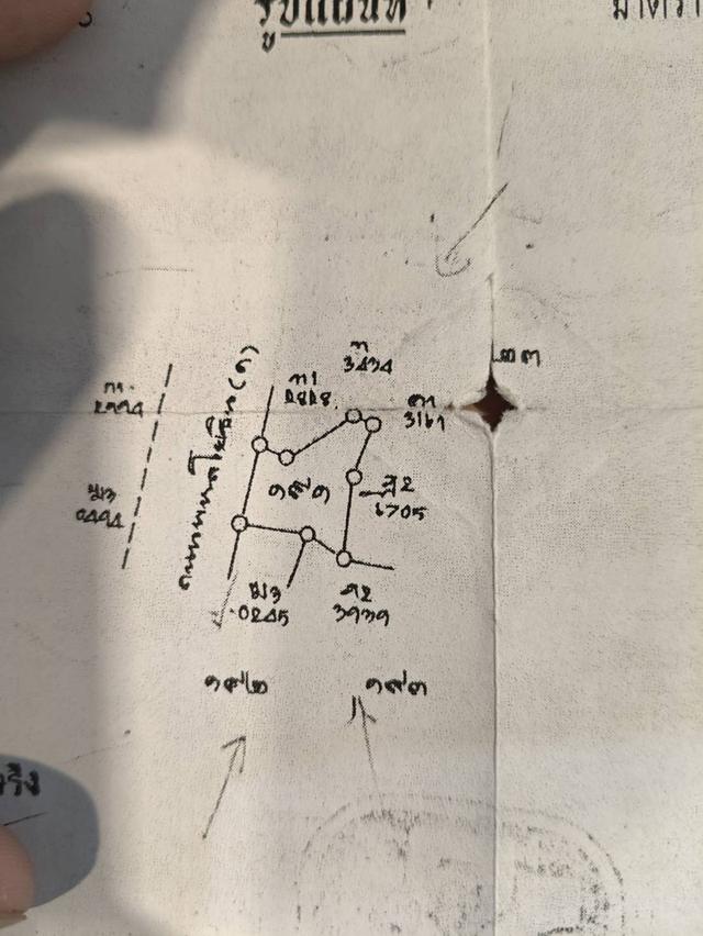 ที่ดิน + ต้นสัก อายุไม่ต่ำกว่า 15-20 ปี ติดถนนพหลโยธิน อ.เกาะคา จ.ลำปาง 5