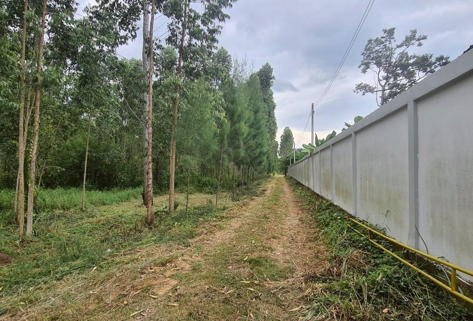 ที่ดินเปล่า ถนนสระแก้ว-เขาหินซ้อน ต.สระแก้ว อ.เมืองสระแก้ว จ.สระแก้ว 2