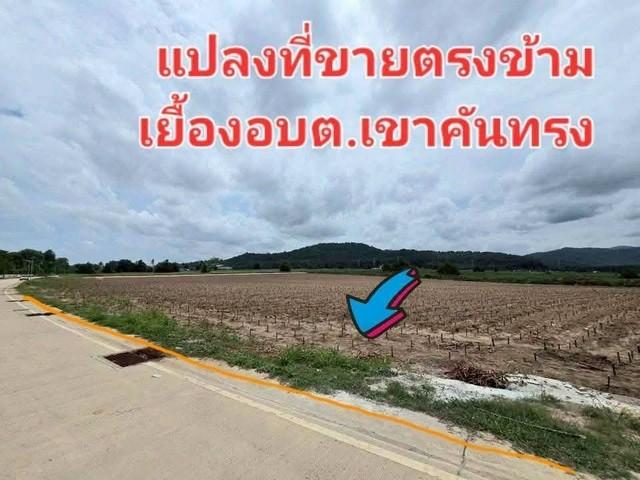 ขายที่ดินผังม่วงลายศรีราชา ชลบุรี เขาคันทรง ขนาดที่ดิน 20 ไร่ พื้นที่สีม่วงลาย ที่ดินเหมาะทำอุตสาหกรรมชลบุรี 2