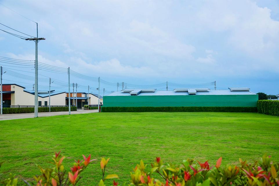 สราญเพลสวิลล์ นิคมพัฒนา ระยอง มีให้เลือกทั้งแบบ ทาวน์โฮม และ บ้านแฝด 2 นอน 2 น้ำ ใกล้นิคม WHA ระยอง 11