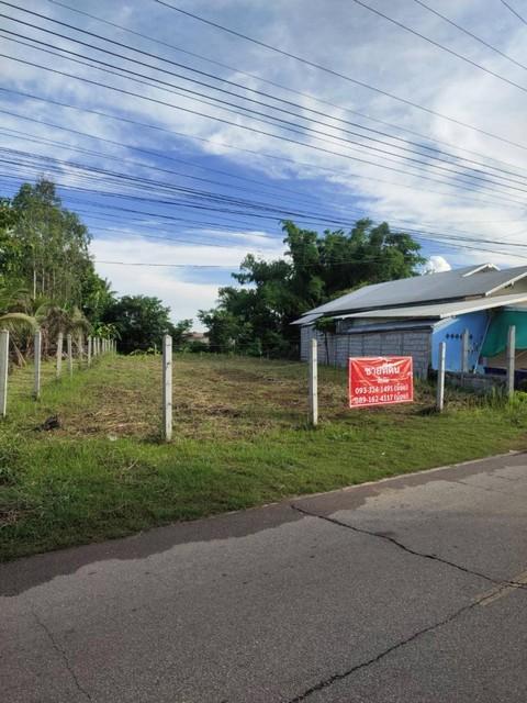 ขายที่ดิน ซอย 3 ต.พานพร้าว อ.ศรีเชียงใหม่ จ.หนองคาย ถนนริมโขง 7