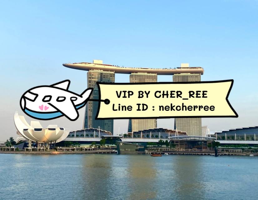 งานต่างประเทศ งานวีไอพีสิงคโปร์ รูปที่ 2