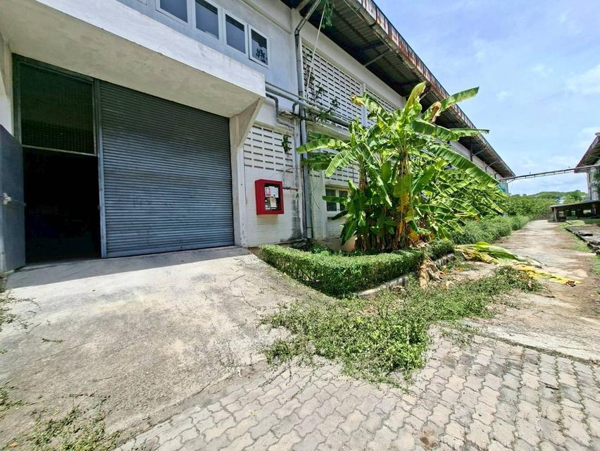 ให้เช่าโกดัง ชั้น 1 บางนา-ตราด กม. 38 ผังสีม่วง พื้นที่เยอะ ใกล้นิคมเวลโกรว์ (N.2355) 13