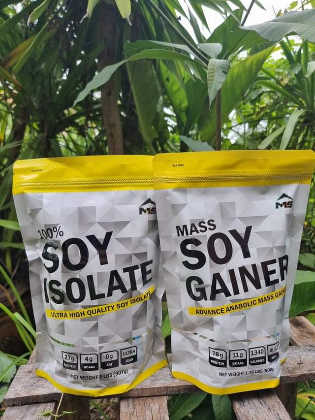 MS  SOY PROTEIN ISOLATE 3