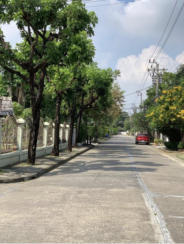 ให้เช่าบ้านเดี่ยว  2 ชั้น สัมมากร รามคำแหง 112  ตั้งอยู่ในบรรยากาศเงียบสงบ เป็นส่วนตัว 7