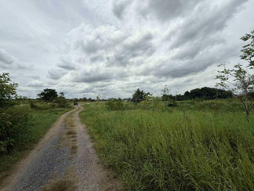 ที่ดิน จังหวัดสระบุรี