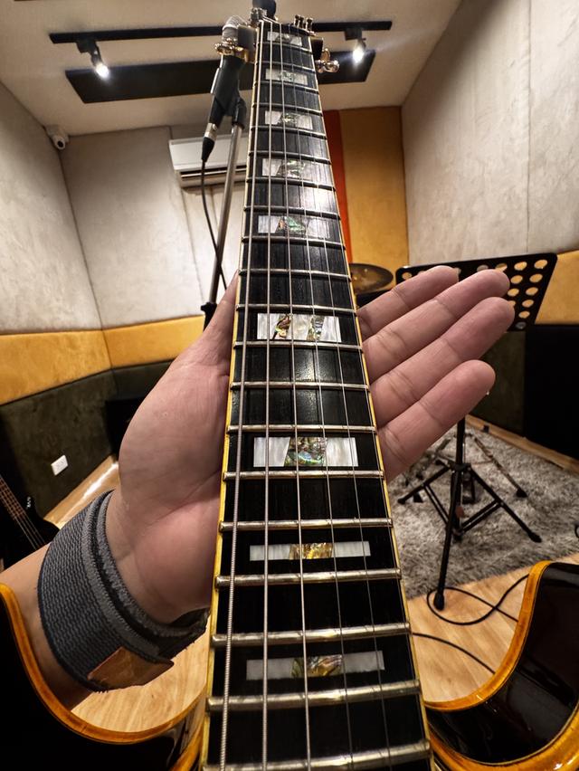 Guitar Ibanez John Schofield