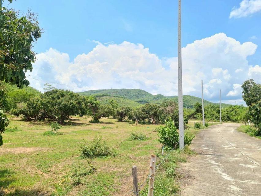 Landing Lamphun / ที่ดินลำพูน 6