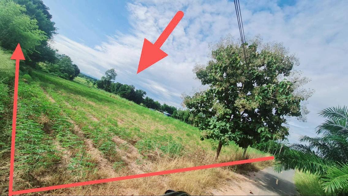 ที่ดินอุดรธานี 5 ไร่ 21 ตารางวา 1