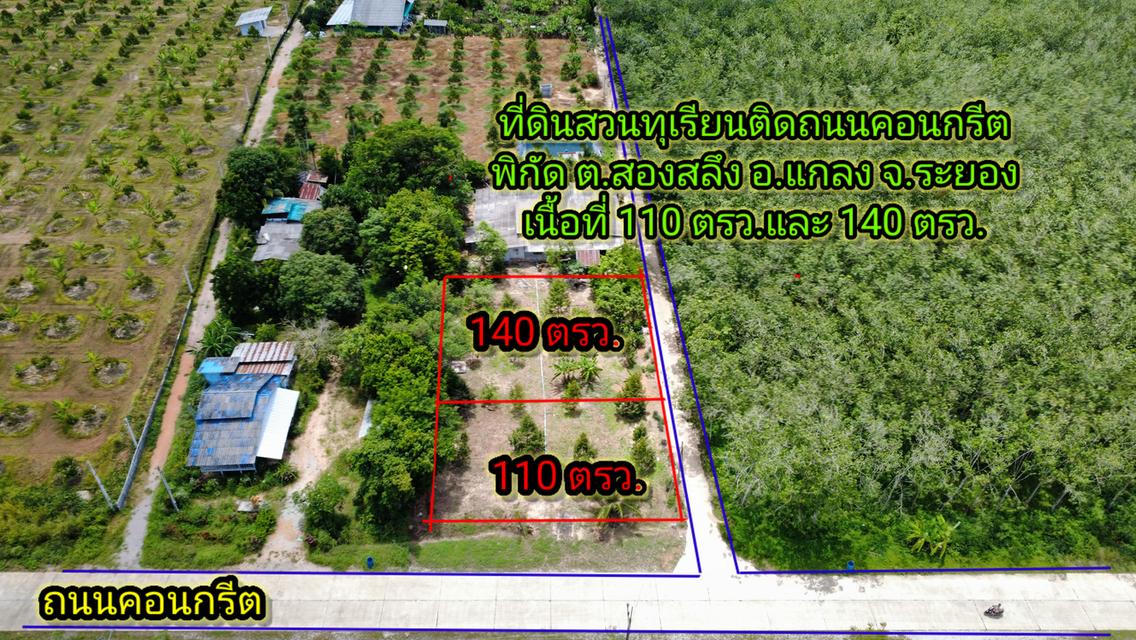 สวนทุเรียน แปลงเล็กขนาด140 ตรว. 2
