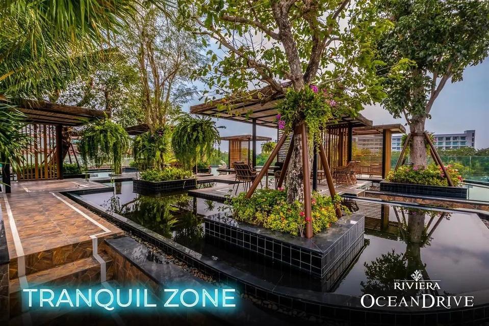 🚨 ขายด่วน! ราคาพิเศษสุดในโครงการ ! Riviera Ocean Drive Pattaya 11