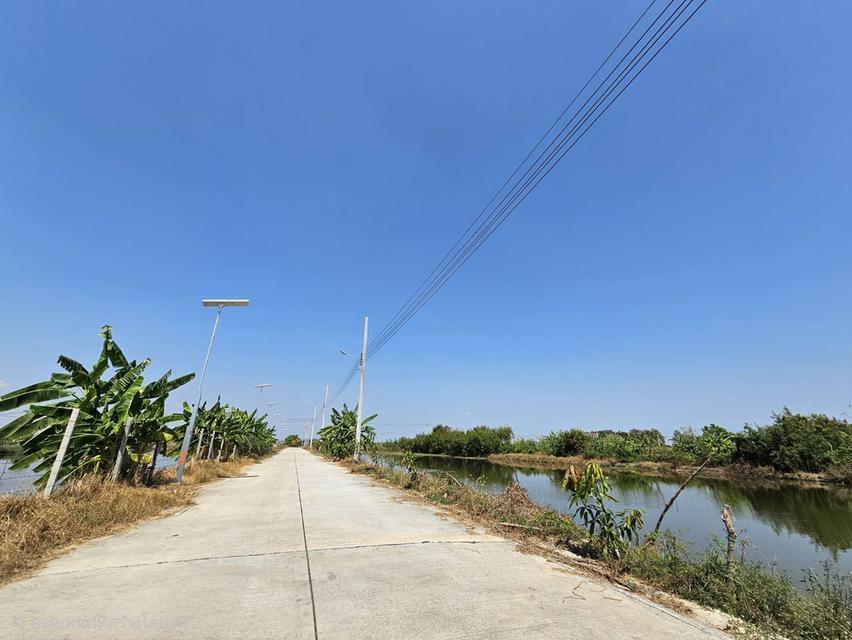 ขายด่วนที่ดิน แปลงใหญ่  บางเสาธง  สมุทรปราการ ติดถนนสาธารณะ แบ่งขายได้ 6