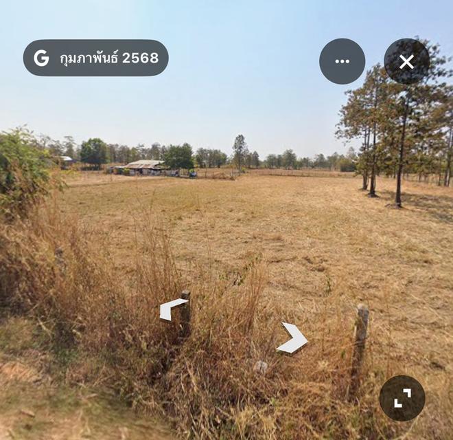 ที่ดินจำนวนน25ไร่ ราคา5ล้าน5แสน 1