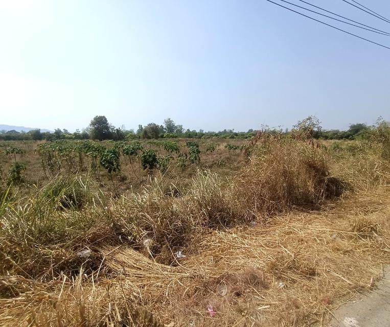 ขายที่ดินเปล่า 14-2-80 ไร่ ติดถนนสายราชบุรี 4016 อำเภอจอมบึง จังหวัดราชบุรี 5