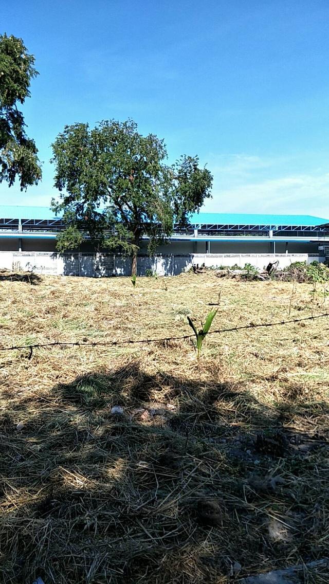 ที่ดินอ่างศิลา 1 ไร่ มิตรสัมพันธ์ ซอย 2 2