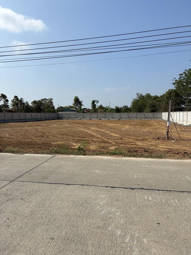 ที่ดินเปล่าพร้อมรั้ว พร้อมน้ำไฟ 1