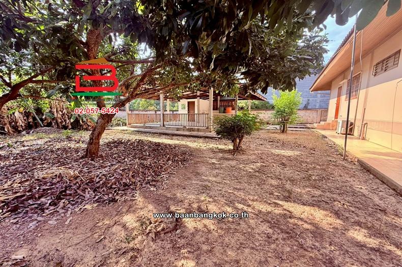 บ้านเดี่ยว (ใกล้หาดแม่พิมพ์) เนื้อที่ 213 ตรว. ตำบลชากโดน อำเภอแกลง จังหวัดระยอง 12