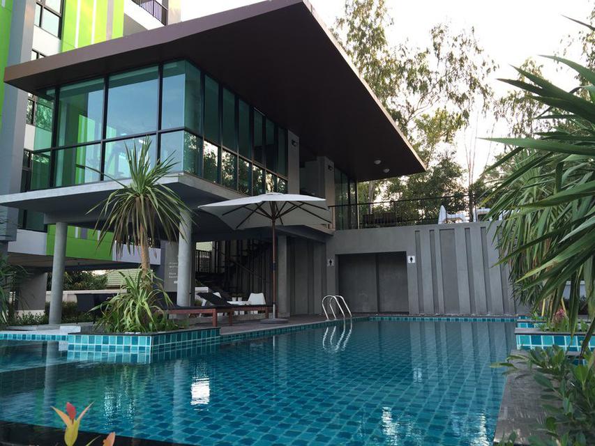 ขาย/ให้เช่า  เดอะ กรีน ลิฟวิ่ง คอนโด พัทยา The Green Living Condo Pattaya Rent / Sale  1,690,000.- / Rent  8,000 / M 1