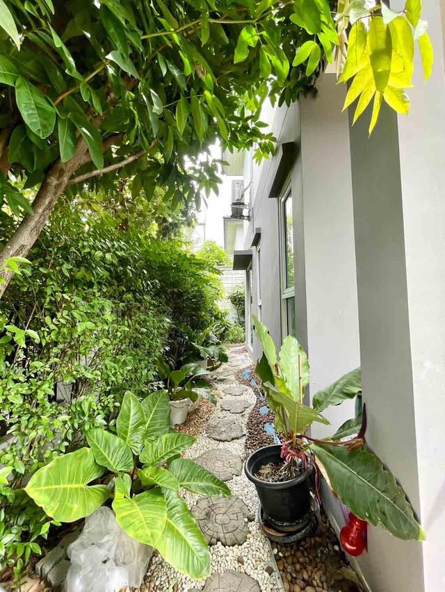 ให้ช่าบ้านเดี่ยว 2 ชั้น หมู่บ้านฟอร์เร่ ลำลูกกาคลอง 5 ปทุมธานี ใกล้ทางด่วน เช่า 25,000/ด. เฟอร์ครบ ไม่มีเฟอร์ 19,000/ด. 4นอน 3น้ำ แอร์ 4 ตัว ติดต่อ 0 16