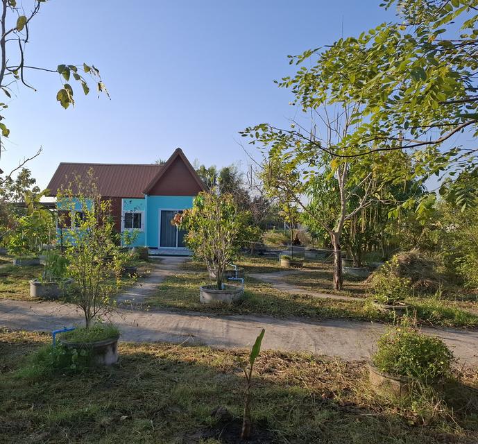 บ้านสวน 200ตรว. สุพรรณบุรี 3