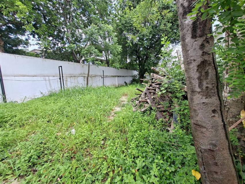 ขายที่ดินเปล่า หลังห้างพาราไดซ์ 74 ตร.ว. ใกล้ประตูทางเข้าสวนหลวง ร.9 เพียง 550 เมตร (N.2284) 5