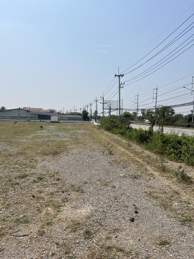 🌿✨ ขายที่ดินติดถนนใหญ่ 321 ใกล้คลอง ✨🌿 ทำเลดี อ.อู่ทอง จ.สุพรรณบุรี 1