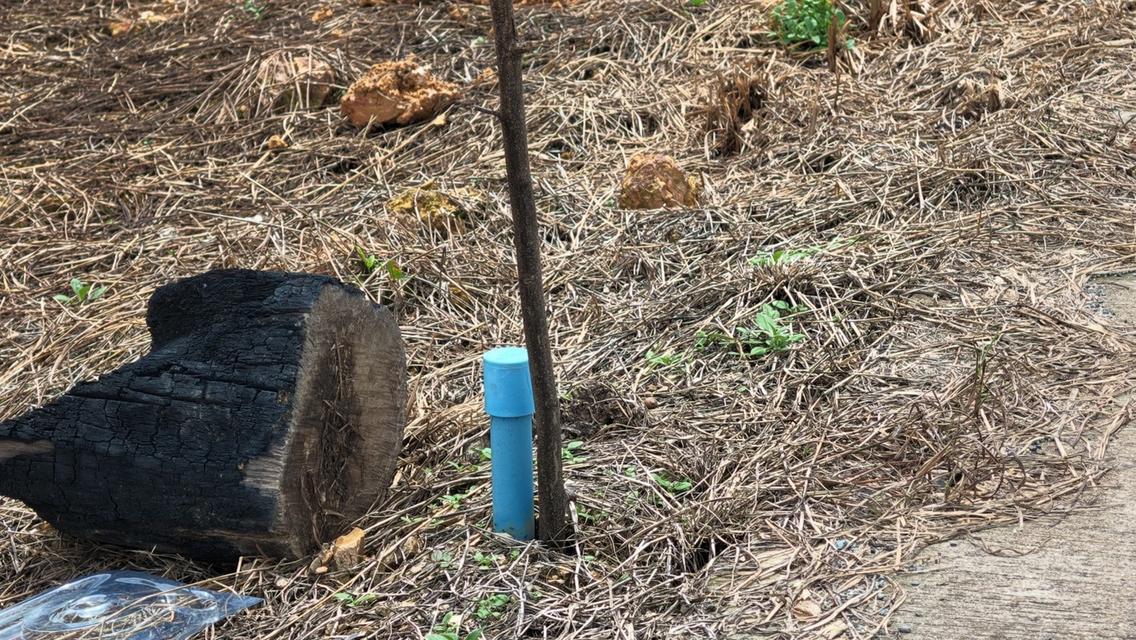 เปิดขายที่ดินทำเลบ้านนา นครนายก เริ่มต้นเพียง 4,900 บาท/ตร.ว. 13