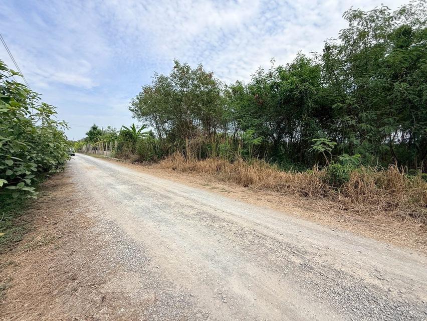 ขายด่วนที่ดิน 800 ตรว ติดถนนสาธารณะ ซ.อารีย์ หมู่ 6 ถนนเทศบาล 5 ลาดหลุมแก้ว ปทุมธานี 4