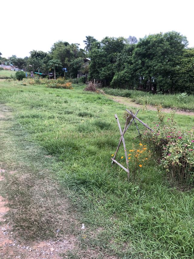 ขายที่ดินโฉนด ในย่านธุรกิจติดถนนสวรรค์วิธีเมืองนครสวรรค์ เยื้องตลาดศรีนคร3ไร่3งาน79.8ตารางวา 2