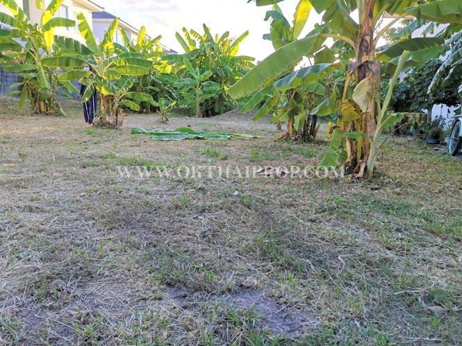 ที่ดินถมแล้ว โกสุมรวมใจ 37 ดอนเมือง กรุงเทพฯ 5