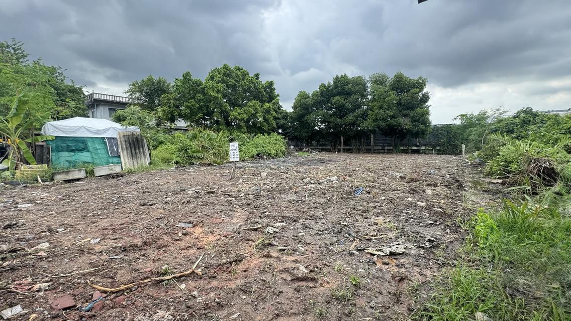 ขายที่ดิน 67.8 ตรว สุขสวัสดิ์ 78 ซอยวัดชังเรือง คู่สร้าง-คู่สม โครงการ3 ซอย 4/3 ราคาถูก ใกล้ตลาดคู่สร้าง 8