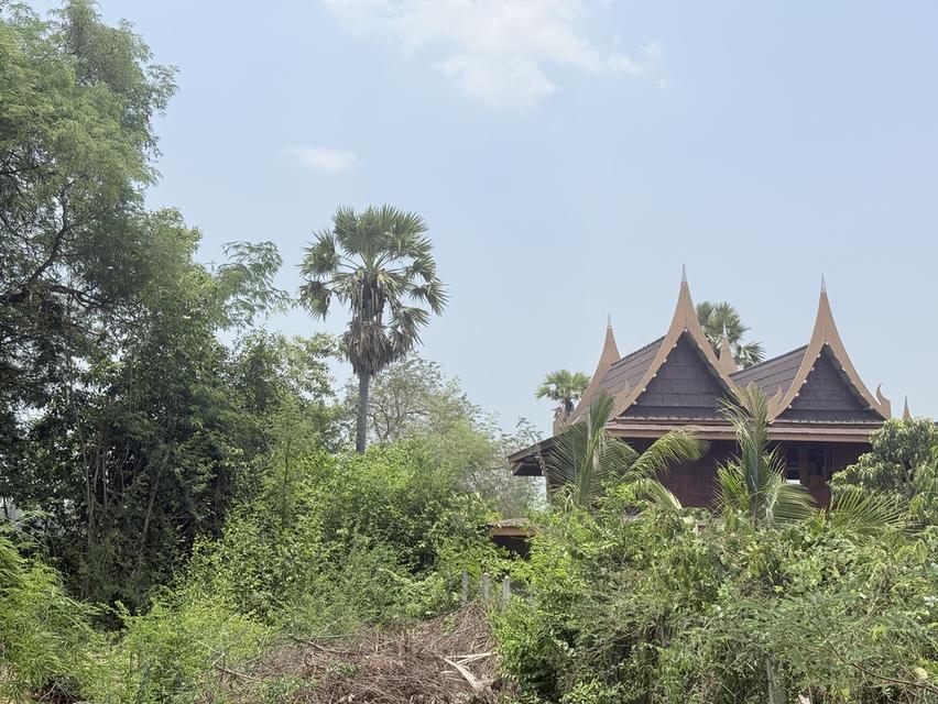 ที่ดินเมืองเพชรบุรี ใกล้เพชรเกษม ยกแปลง 6 แสน 1