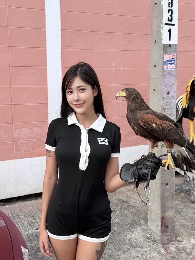 เหยี่ยวแฮริส Harrishawk รูปที่ 4