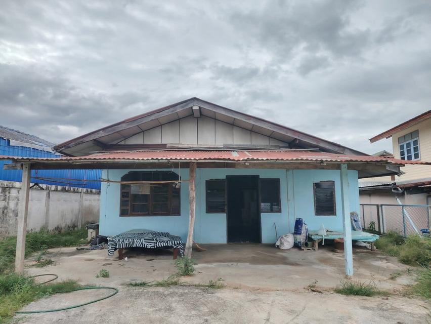 บ้านพร้อมที่ดินอสังหาริมทรัพย์ 3