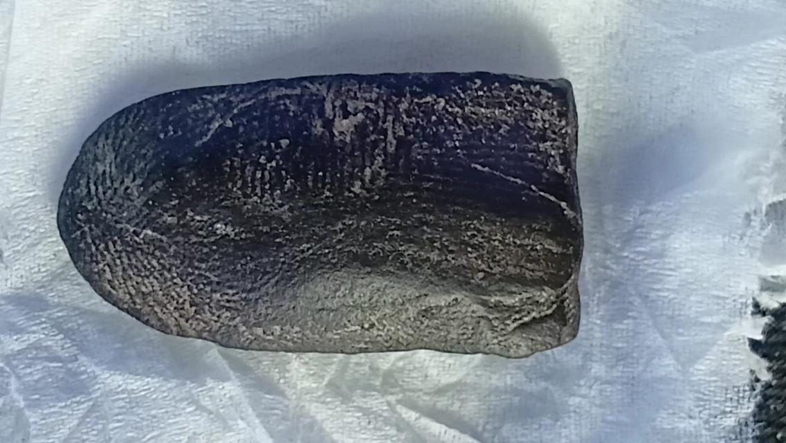 พระบางกรุลำพูนพระสกุลลำพูน 2