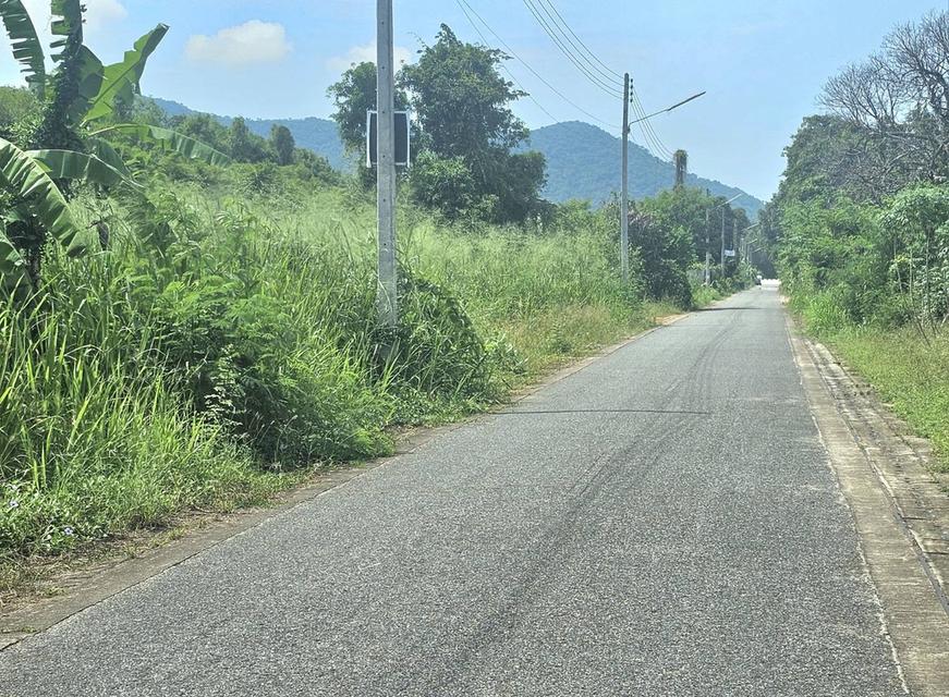 ขายที่ดินบางเสร่ 263 ตรว. ติดถนนลาดยางมีวิวเขา ใกล้ถนนเส้นสุขุมวิท3เพียง300เมตร อ.สัตหีบ ชลบุรี 3