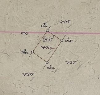 ขายที่ดินซอยอาจารย์ฉลวย 1