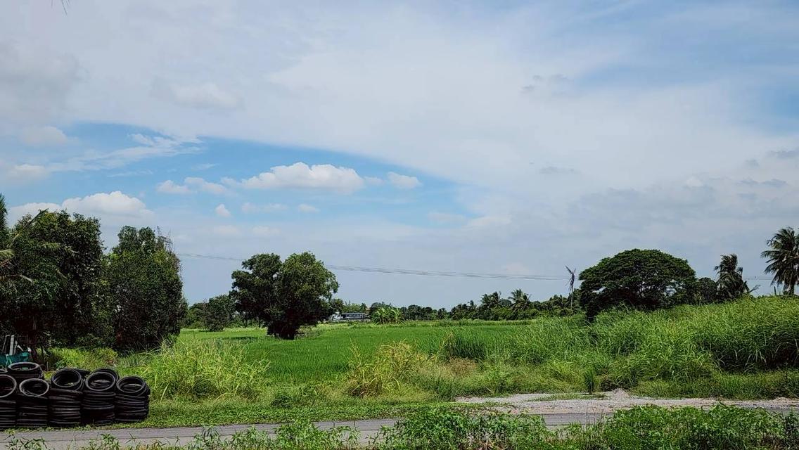 ขายด่วน ที่ดินเปล่า 8 ไร่ แปลงสวย ถมแล้วบางส่วน คลอง 8 หนองเสือ ปทุม 11