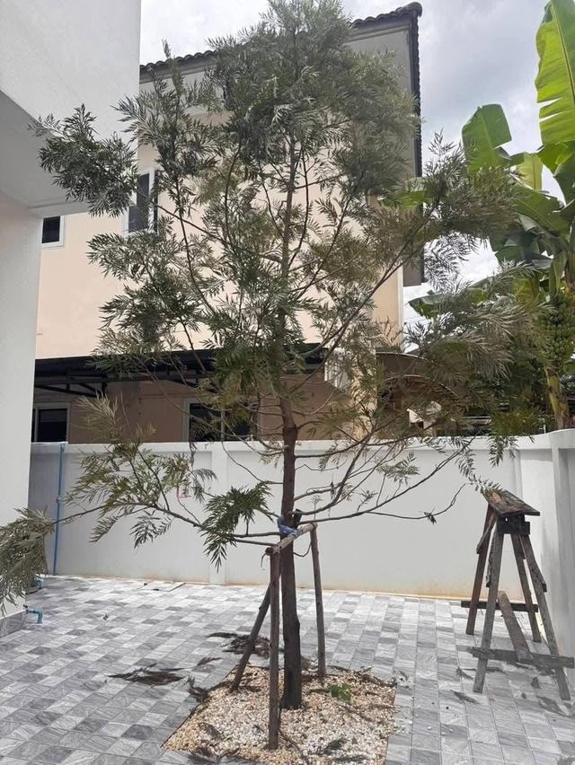 บ้านเดี่ยว สไตล์อังกฤษ 15