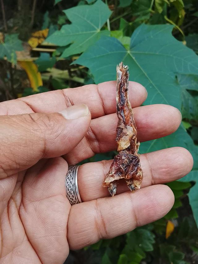 เครื่องรางแห่งโชคลาภค้าขายเสี่ยงโชค 2