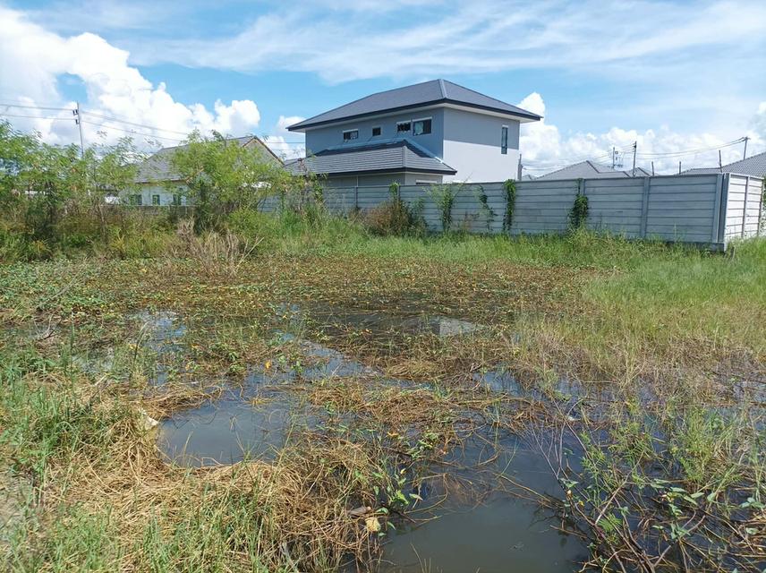 ขายที่ดิน 60 ตร.ว. ต.ตลาดขวัญ อ.ดอยสะเก็ด จ.เชียงใหม่ 7