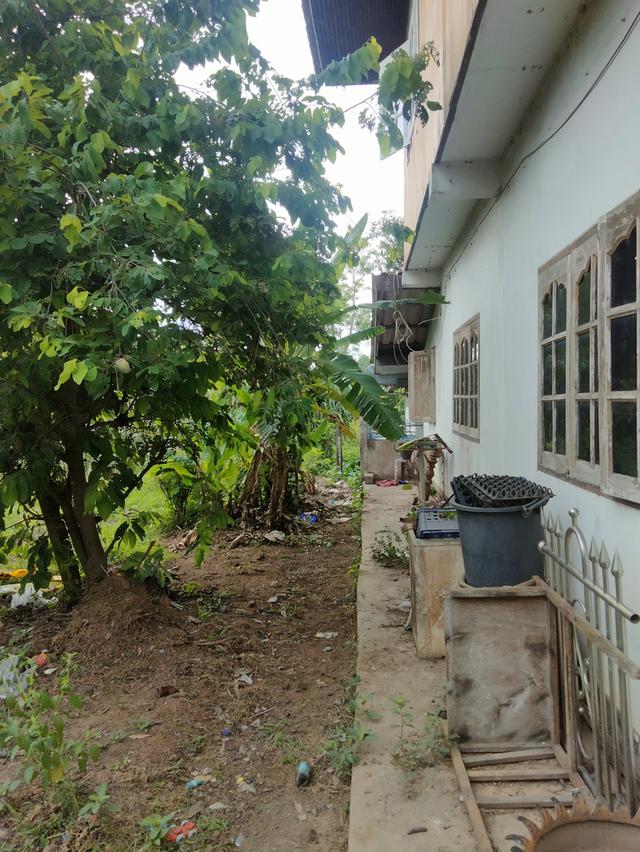 บ้านพร้อมที่ดิน ที่พิษณุโลก 3