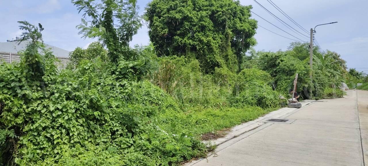 ให้เช่า ที่ดินเปล่า 60 ตร.วา ซอย บางปลา 14 บางพลี สมุทรปราการ 16