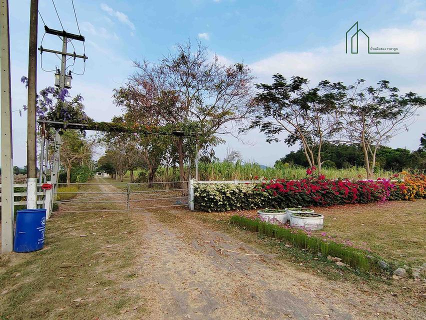 ที่ดิน 18 ไร่ ปากช่อง ห่างจากถนนมิตรภาพ 7.9 กิโลเมตร 3