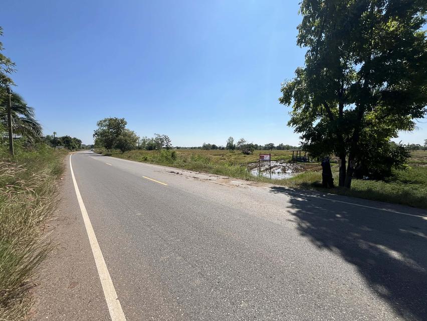 ขายที่ดินทำนา พื้นที่บ้านค้อ ต.ยางตลาด อ.ยางตลาด จ.กฬสินธ์ 4