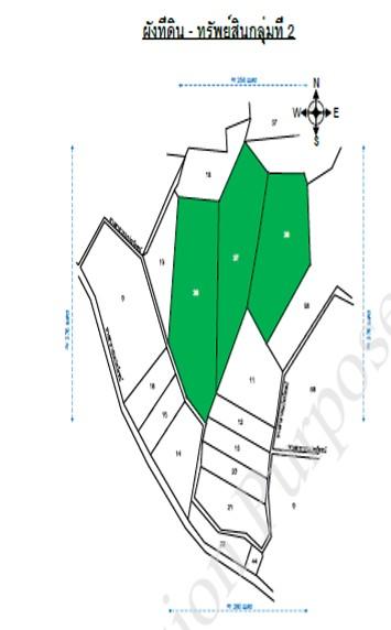 ขายที่ดินกลุ่มใหญ่ ต.บางน้ำจืด อ.หลังสวน จ.ชุมพร 196.27 ไร่ 3