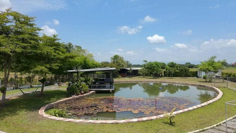 ขายบ้านสวนวิวสวย พื้นที่กว้าง 2ไร่ บรรยากาศเงียบสงบ สำหรับอาศัยหรือทำรีสอร์ท ดอยสะเก็ด ใกล้เมืองเชียงใหม่. 5