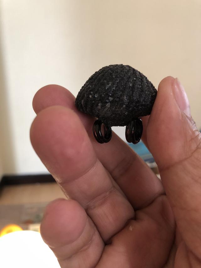 เบี้ยแก้ปูเจือวัดกลางบางแก้ว นครปฐม รูปที่ 3