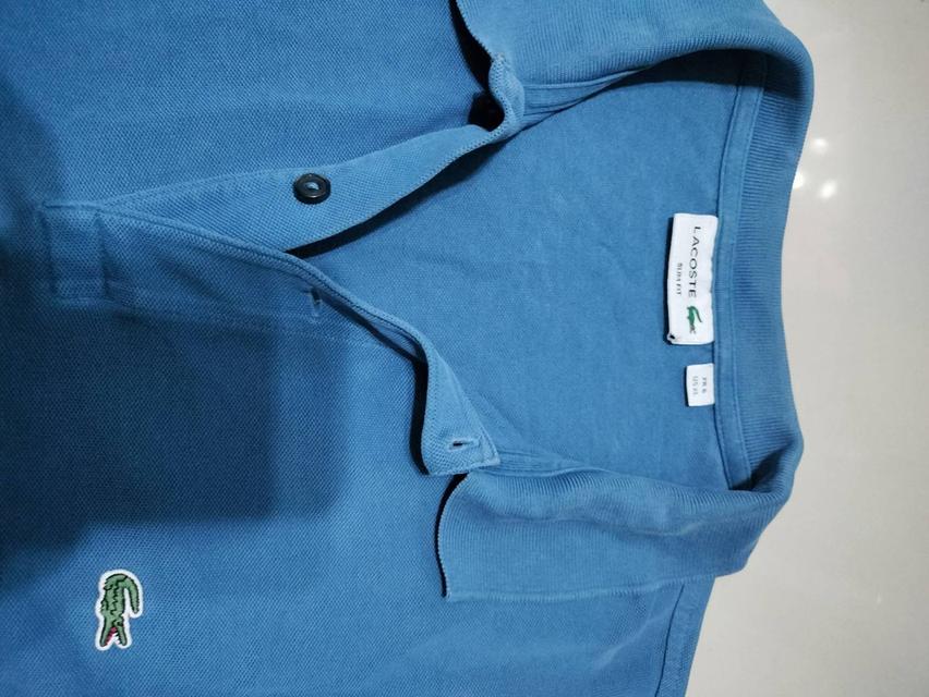 เสื้อ ลาคอส แท้  L  ตัวละ 130 รวมส่ง  4