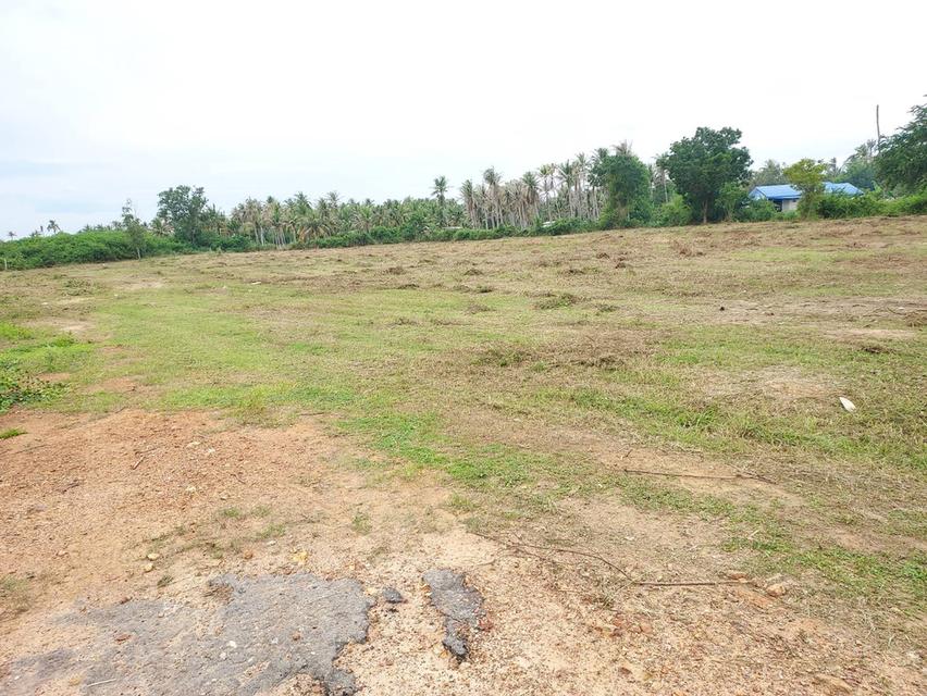 ที่ดิน 9 ไร่ 3 งาน พื้นที่ คั่นกระได ต.อ่าวน้อย อ.เมือง จ.ประจวบ